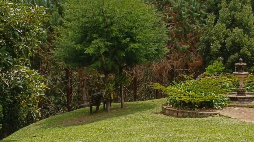 Venta De Finca En San Vicente Ferrer Vda Chaparral