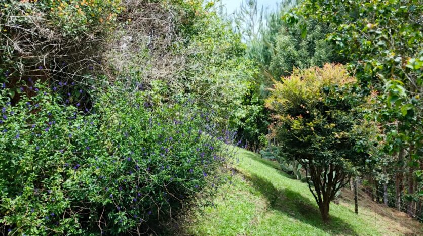 Venta De Finca En San Vicente Ferrer Vda Chaparral