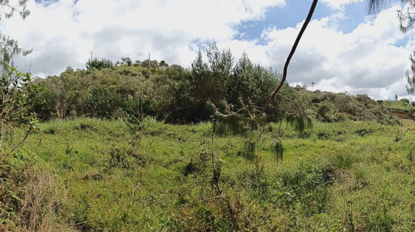 Venta De Finca En San Vicente Ferrer Vda Chaparral