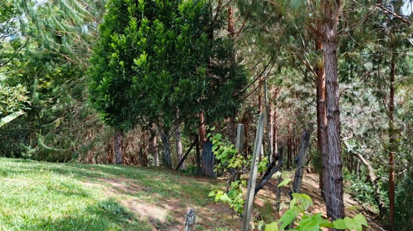 Venta De Finca En San Vicente Ferrer Vda Chaparral