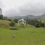 WhatsApp Image 2026-03-10 at 7.50.54 PM