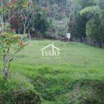 WhatsApp Image 2026-03-10 at 7.51.36 PM