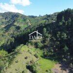 dji_fly_20251230_153521_0_1767126921323_photo_low_quality