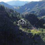 dji_fly_20251230_154311_0_1767127391426_photo_low_quality