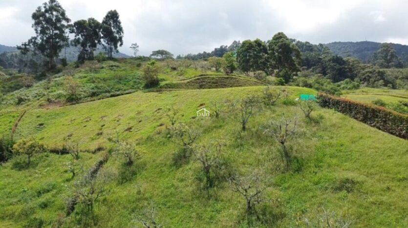 Vendo Lote en La Ceja En exclusiva Parcelacion sector El Yarumo
