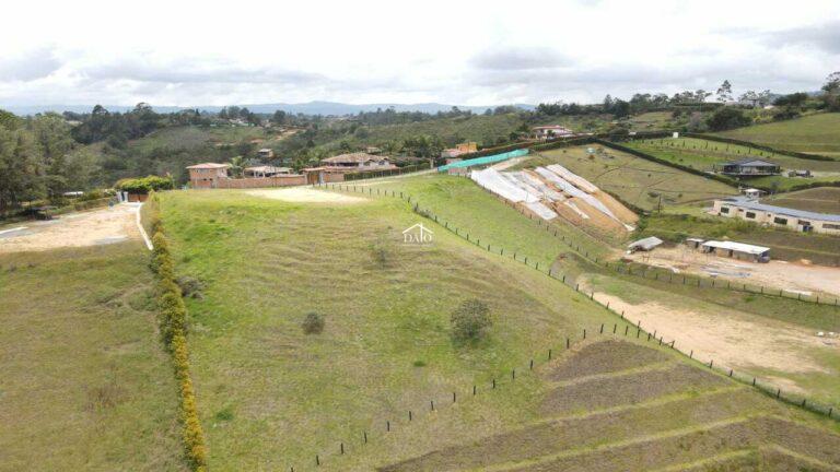 DATO Atenea lote 12-4
