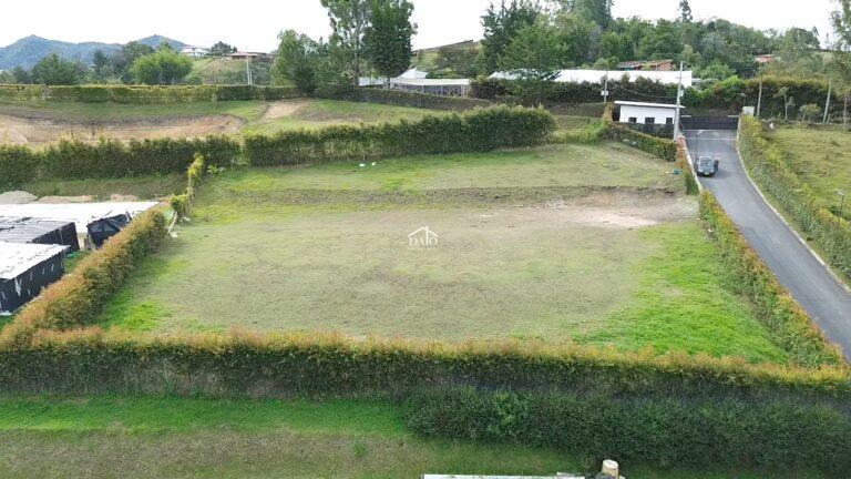 DATO Atenea lote 14-3