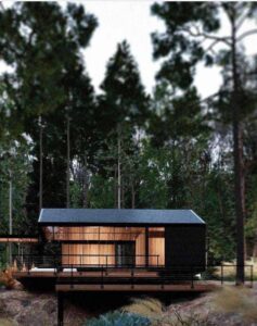 Bluemont render 2