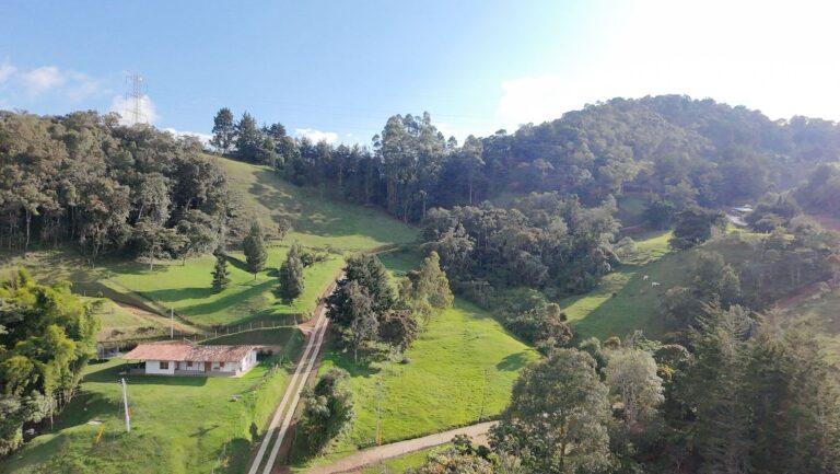 DATO Pietra Verde lote 11-2