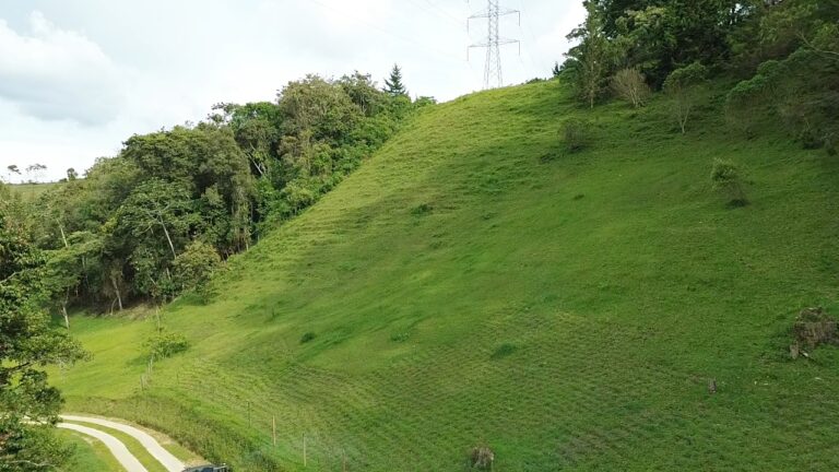 DATO Pietra Verde lote 1a-2