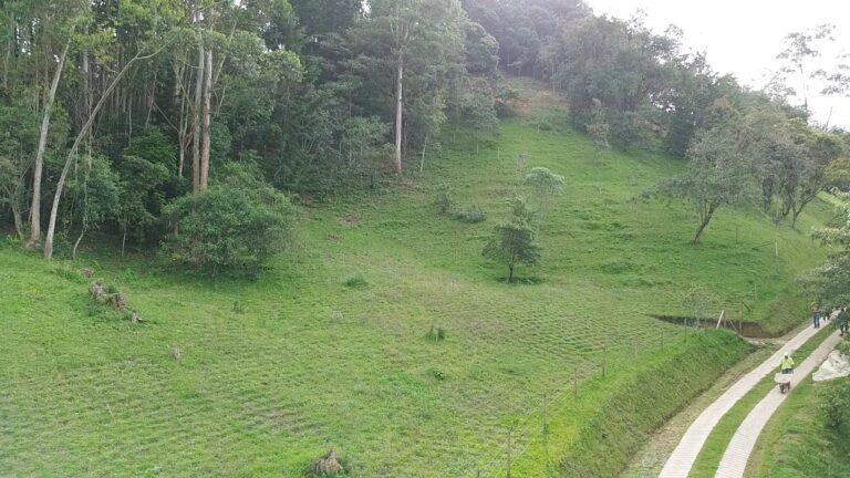 DATO Pietra Verde lote 1a