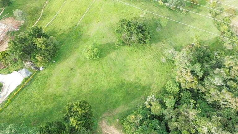 DATO Pietra Verde lote 7a-4