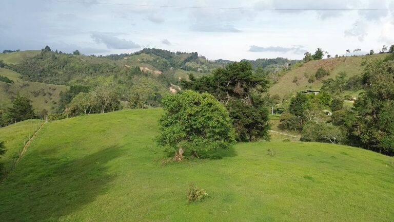 DATO Pietra Verde lote 7a-3