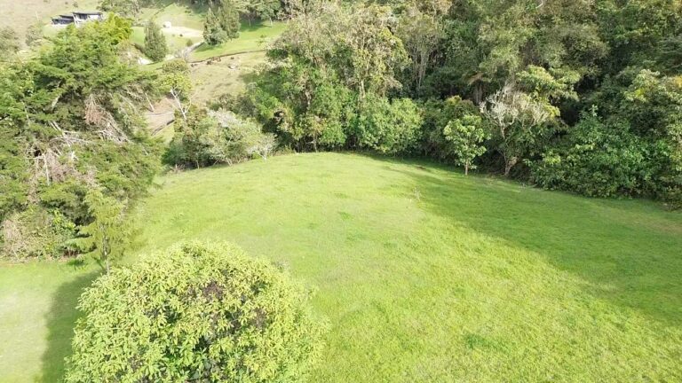 DATO Pietra Verde lote 7a