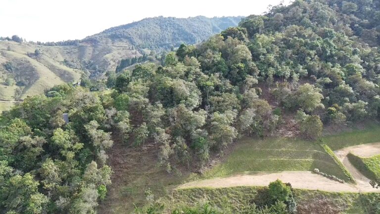 DATO Pietra Verde lote 3a-3