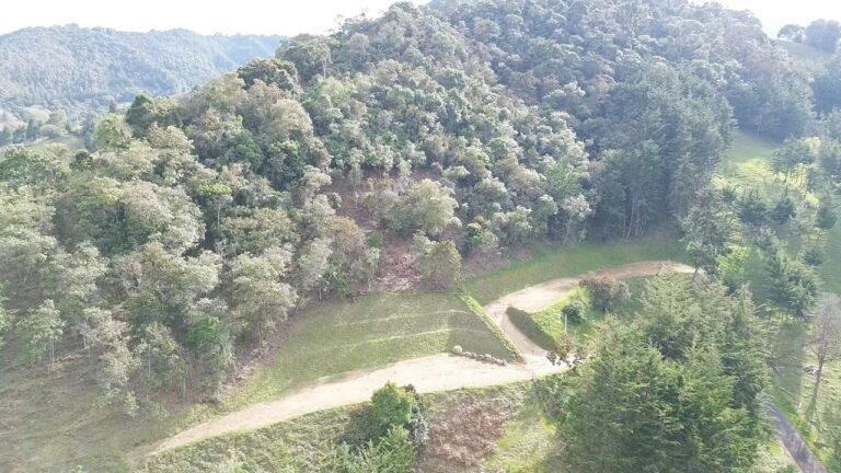 DATO Pietra Verde lote 3a-2