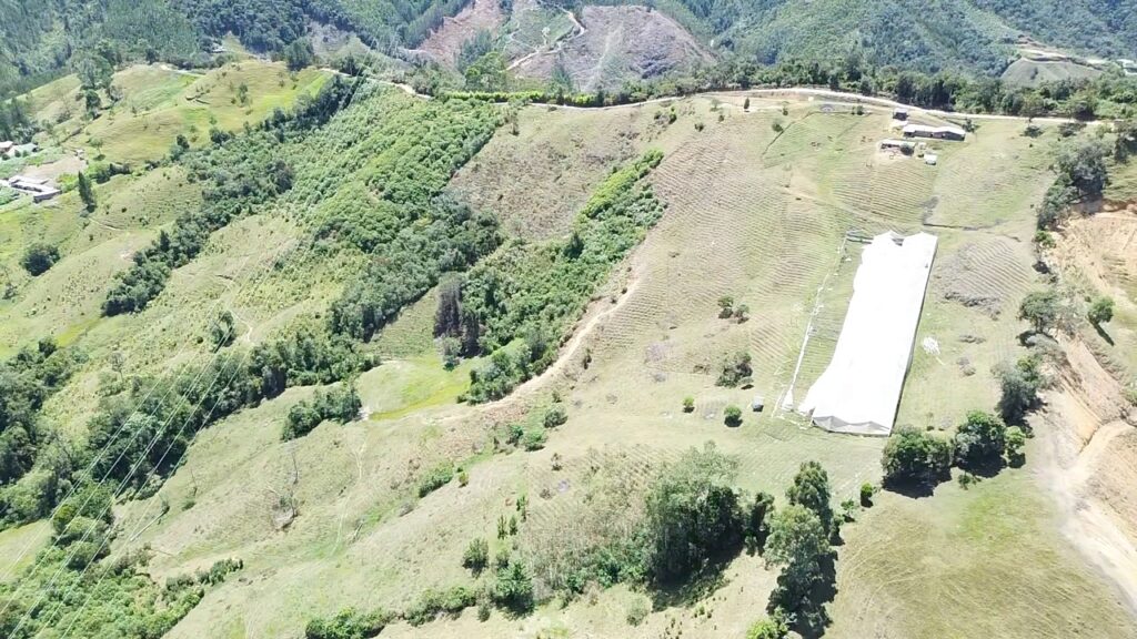 DATO IL BOSCO aereo 1