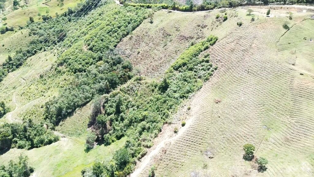 DATO IL BOSCO aereo 2