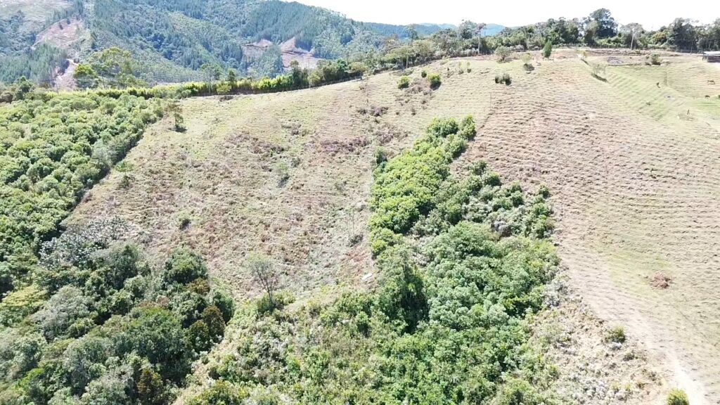 DATO IL BOSCO aereo 4