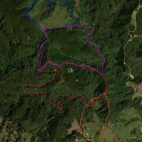 Imagen de WhatsApp 2024-03-03 a las 10.14.00_e53460ae